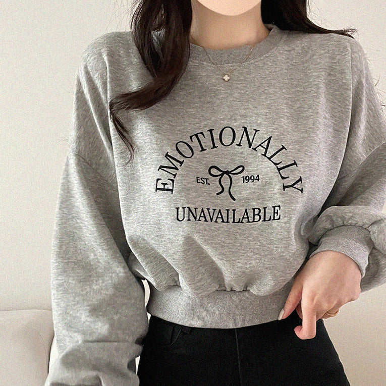 【現貨navy】🪡Emotionally刺繡短款衛衣