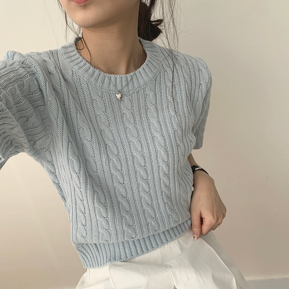 【現貨navy, ivory】韓製🇰🇷麻花圓領短袖針織衫