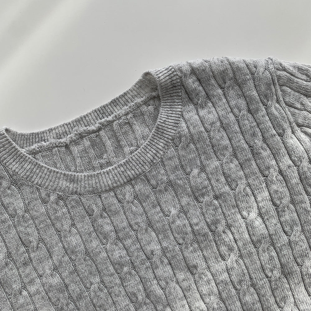 【現貨淺灰】🐑羊毛高質圓領麻花短袖針織衫